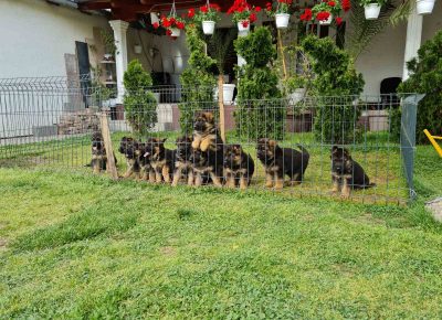 viberimage202205091424551771652199310