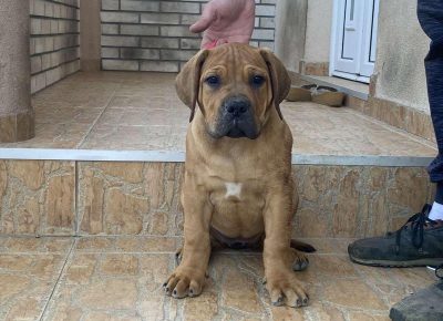 viberimage202205112025268671652460704