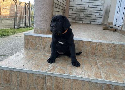 viberimage202205112025440001652460705