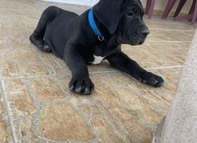 viberimage202205112025522811652460706