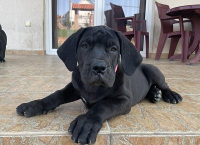 viberimage202205112025570771652460705