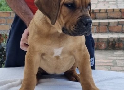 viberimage202205112026019241652460705