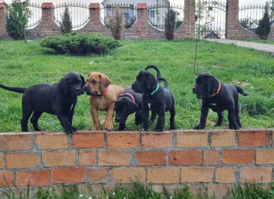 viberimage202205112026180071652460706