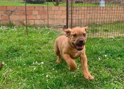 viberimage202205112026214691652460707