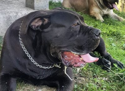 viberimage202205112026291401652460706