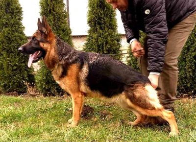 viberimage202205291735517411653900837