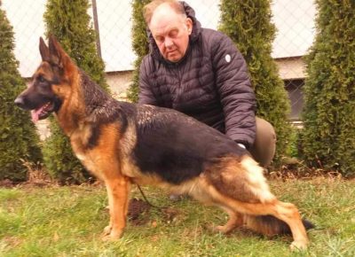 viberimage202205291735520401653900837