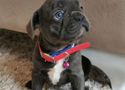 viberimage202205301739173051653984400