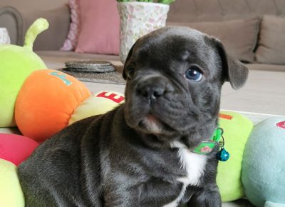 viberimage202205301739327481653984398