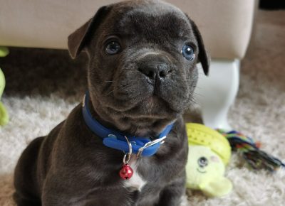 viberimage202205301739576121653984399