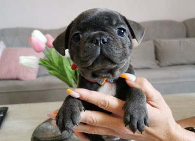 viberimage202205301740450381653984398