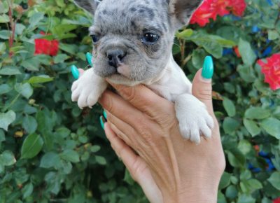 viberimage202205301741335001653984400