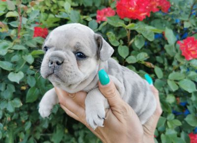 viberimage202205301741379471653984399