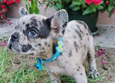 viberimage202205301757238801653984400