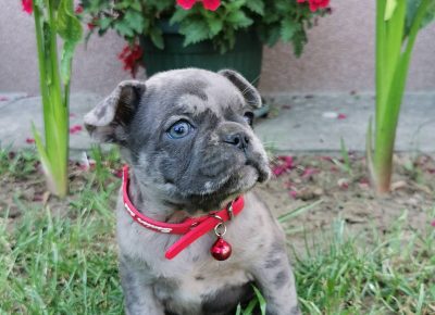 viberimage202205301757464031653984399