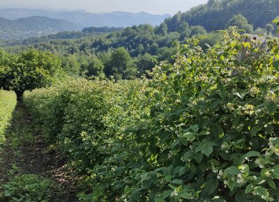 165432547655613943475380191151221654325598