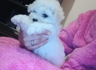 275811031535357921486568740406303487267091n1655390217