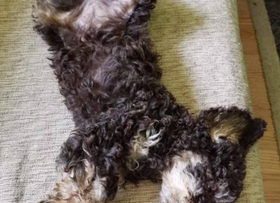 27956519050928519607981346617049323293084538n1656147076