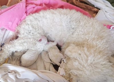 27960156350327832468185771781620935778105024n1655390219