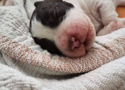 2798843405535636264273206516086975064280442n1656147076