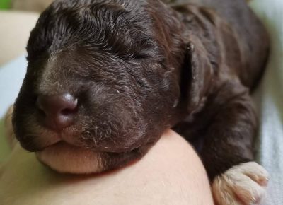 2802104175696239077998803936351301496084967n1656147077