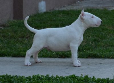 AirBrush202206021227221655061910