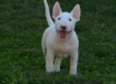 AirBrush202206021241051655061912