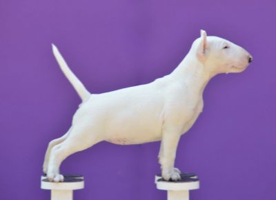 AirBrush202206021317221655061912