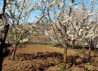 IMG05c431e38593cef2d7ee94172d2f279aV1655314245