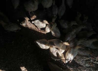 IMG202206060923431654508843