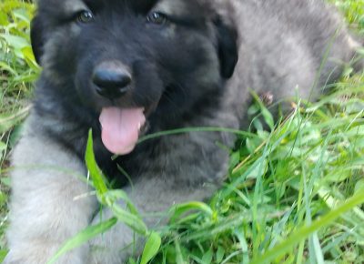 IMG202206181410141656137507