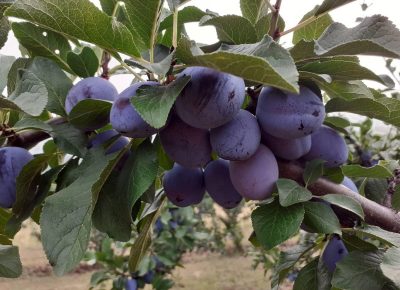 IMG4aa46f306fd7a25a8fb610f2e31feabaV1654191290