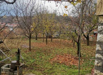 IMGd7a898980c3c246522e3d71df25030b2V1655314232