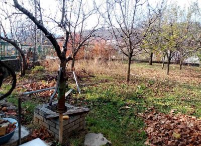 IMGd8a791f7d1a17b66491042907f45abe8V1655314240