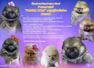 aiberimage202206031206333901654290044