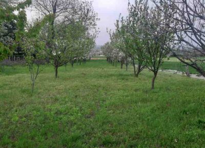 karagača11654280890