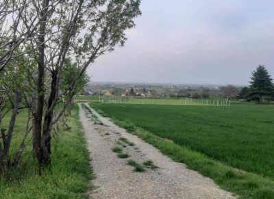 karagača21654280890