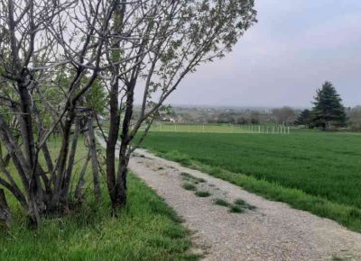 karagača31654280891