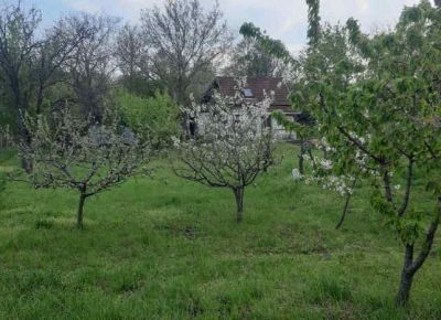 karagača41654280890