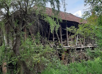 talasaambarom1656499588