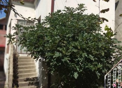 viber_image5_2020-09-13_21-05-48