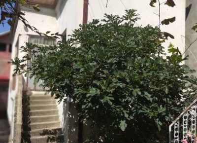 viber_image7_2020-09-13_21-05-49