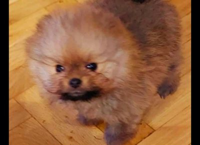 viberimage202206030742464661654290043