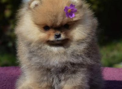 viberimage202206030751319861654290043