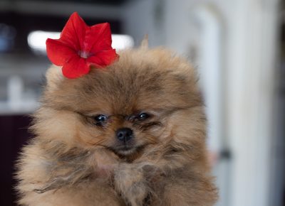 viberimage202206030751320421654290044