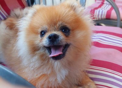 viberimage202206030754014611654290044