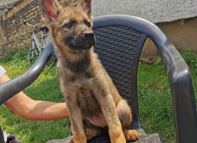 viberimage202206031124436341655108730