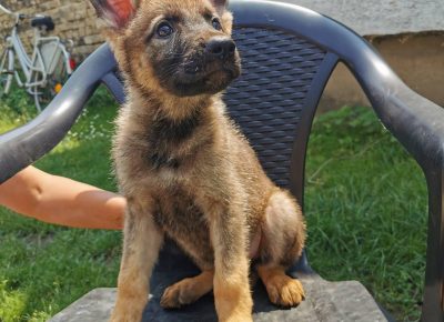 viberimage202206031124437041655108731