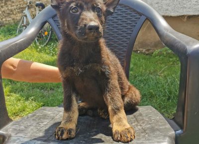 viberimage202206031124438581655108731