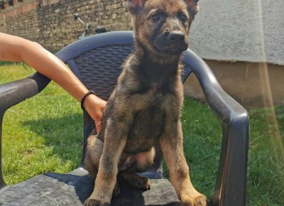 viberimage202206031124439761655108731